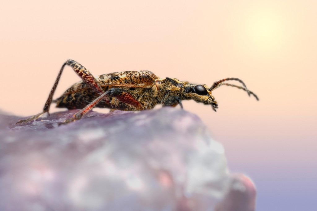 Machismo Estrutural: Reflexões sobre o Futuro das&nbsp;Relações